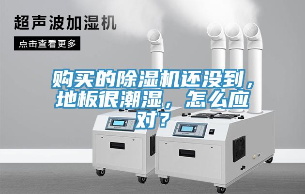 購(gòu)買的除濕機(jī)還沒(méi)到，地板很潮濕，怎么應(yīng)對(duì)？