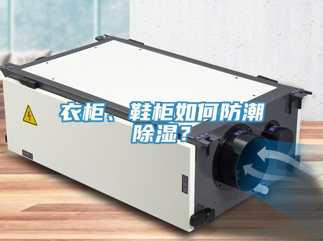 衣柜、鞋柜如何防潮除濕？