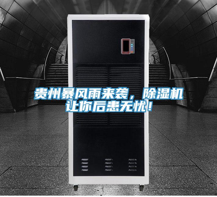 貴州暴風雨來襲，除濕機讓你后患無憂！