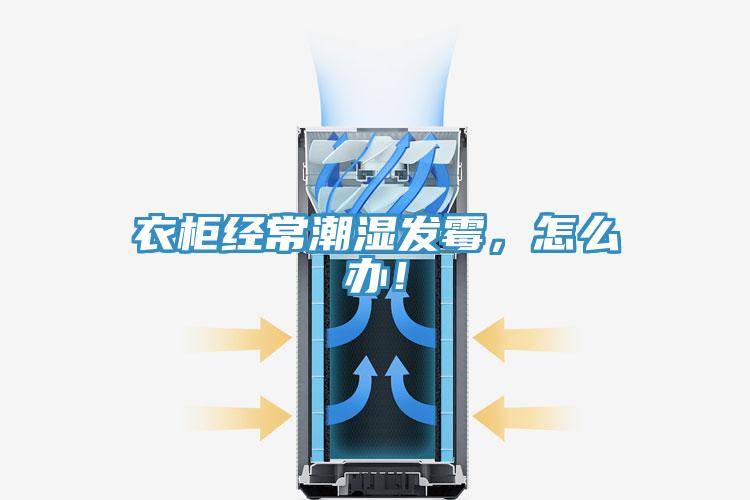 衣柜經(jīng)常潮濕發(fā)霉，怎么辦！