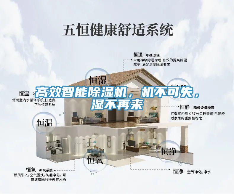 高效智能除濕機，機不可失，濕不再來