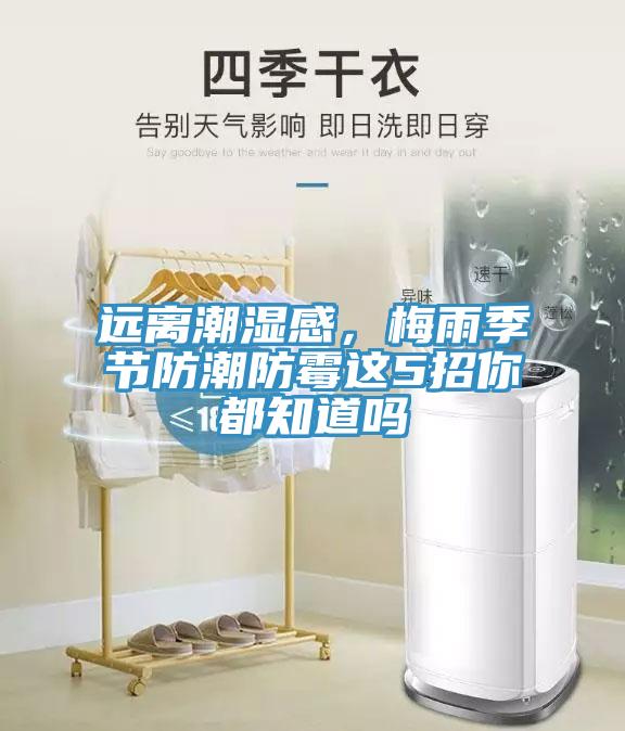 遠(yuǎn)離潮濕感，梅雨季節(jié)防潮防霉這5招你都知道嗎