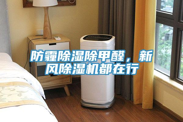 防霾除濕除甲醛，新風(fēng)除濕機都在行