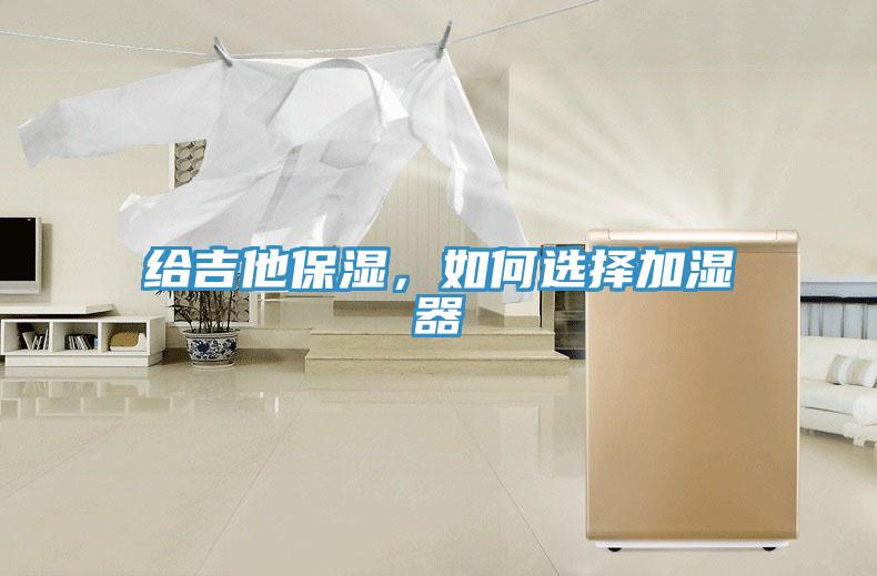 給吉他保濕，如何選擇加濕器