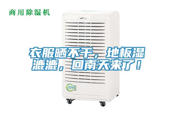 衣服曬不干，地板濕漉漉，回南天來了！