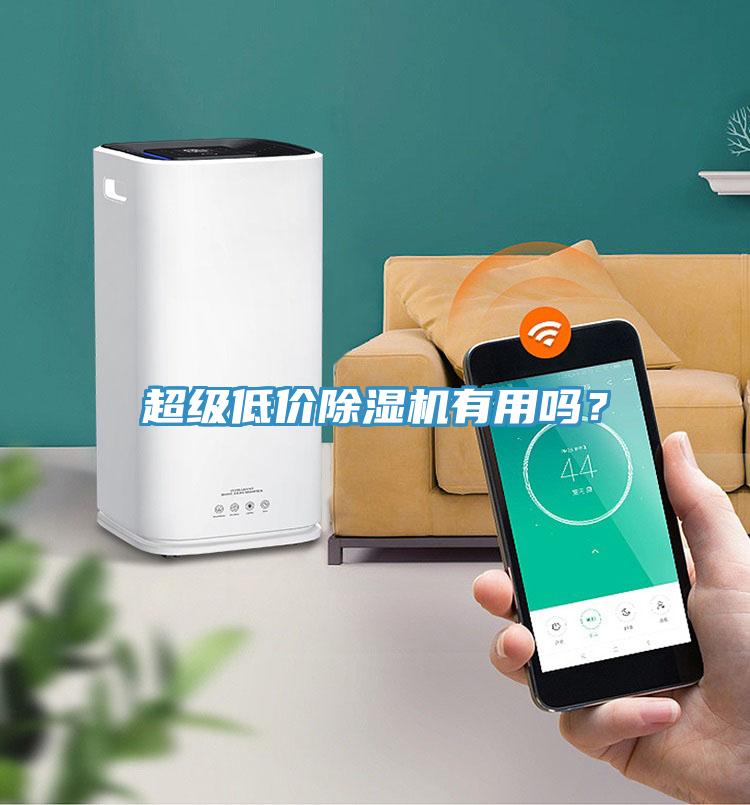 超級(jí)低價(jià)除濕機(jī)有用嗎？