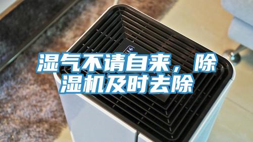濕氣不請(qǐng)自來(lái)，除濕機(jī)及時(shí)去除