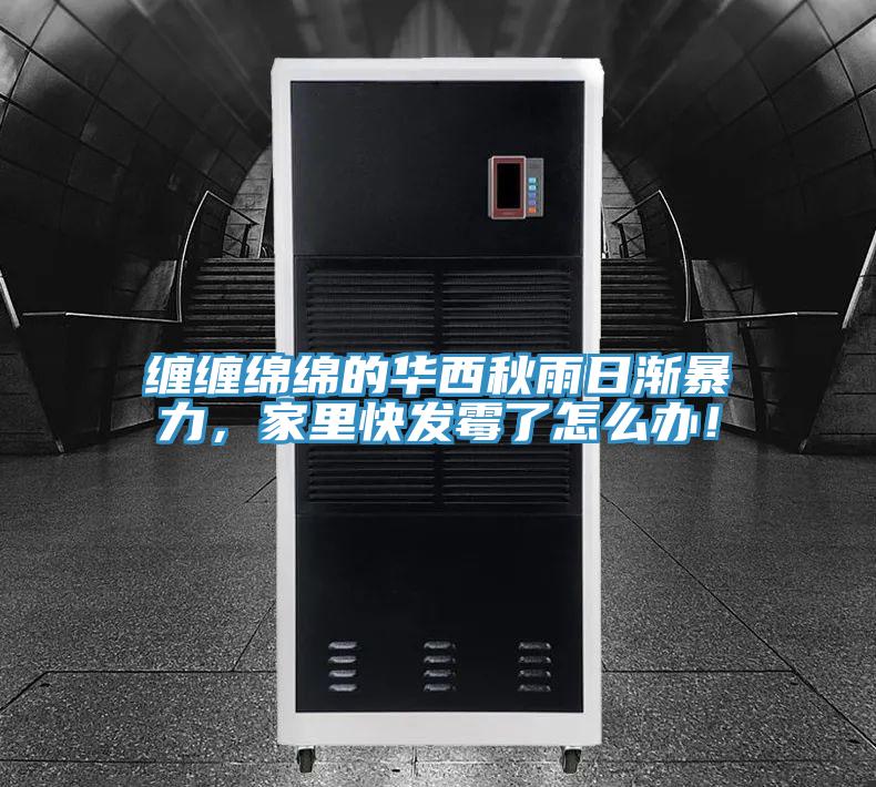 纏纏綿綿的華西秋雨日漸暴力，家里快發(fā)霉了怎么辦！