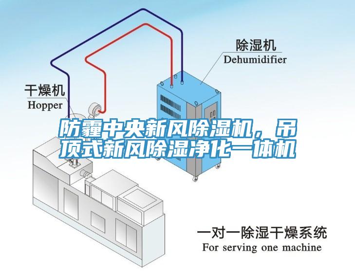 防霾中央新風(fēng)除濕機，吊頂式新風(fēng)除濕凈化一體機