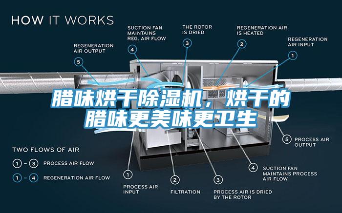 臘味烘干除濕機(jī)，烘干的臘味更美味更衛(wèi)生