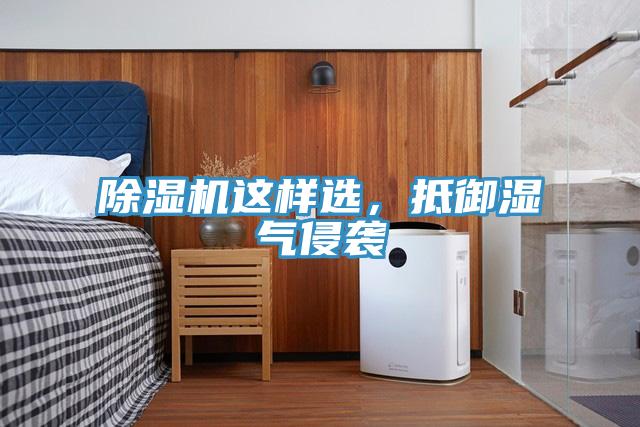 除濕機這樣選，抵御濕氣侵襲