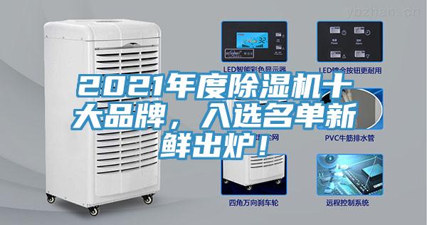 2021年度除濕機十大品牌，入選名單新鮮出爐！