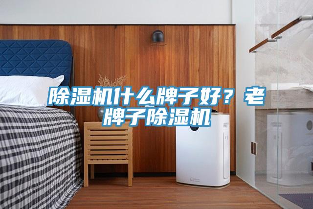 除濕機(jī)什么牌子好？老牌子除濕機(jī)