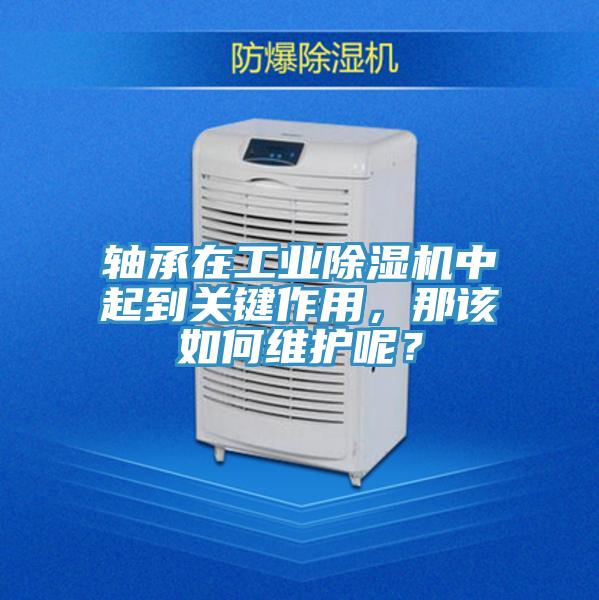 軸承在工業(yè)除濕機中起到關(guān)鍵作用，那該如何維護呢？