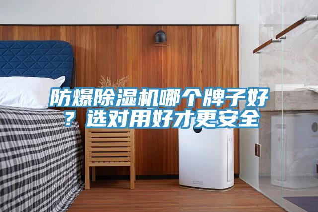 防爆除濕機哪個牌子好？選對用好才更安全