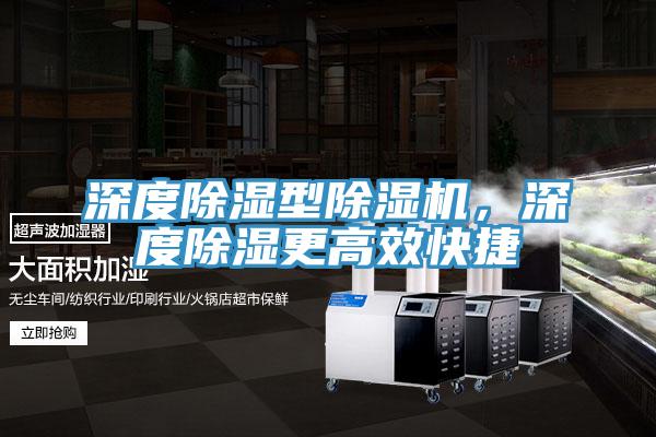 深度除濕型除濕機(jī)，深度除濕更高效快捷