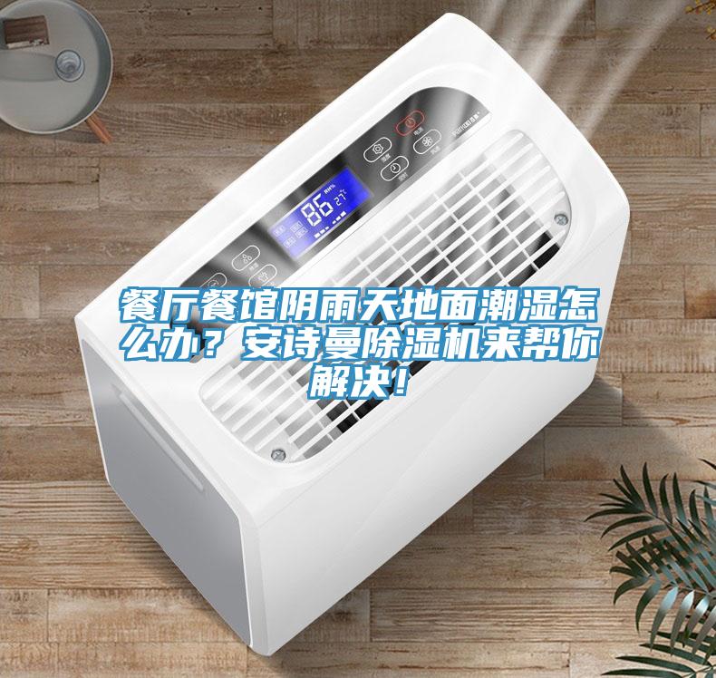 餐廳餐館陰雨天地面潮濕怎么辦？安詩曼除濕機來幫你解決！