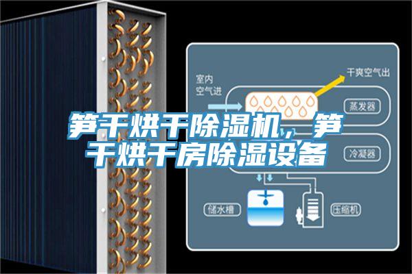 筍干烘干除濕機(jī)，筍干烘干房除濕設(shè)備
