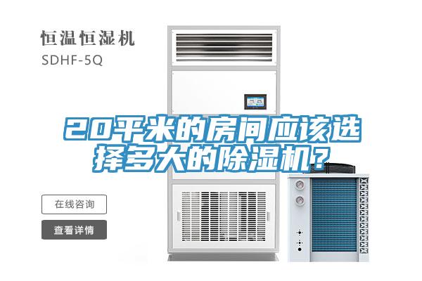 20平米的房間應(yīng)該選擇多大的除濕機(jī)？