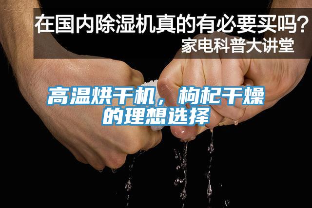 高溫烘干機，枸杞干燥的理想選擇