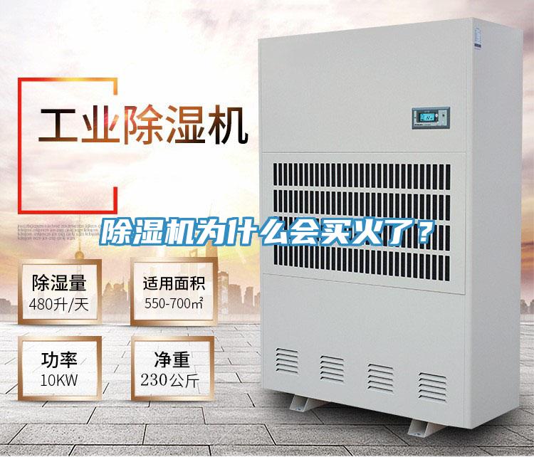 除濕機為什么會買火了？