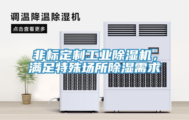 非標(biāo)定制工業(yè)除濕機(jī)，滿足特殊場(chǎng)所除濕需求