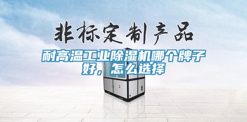 耐高溫工業(yè)除濕機哪個牌子好，怎么選擇