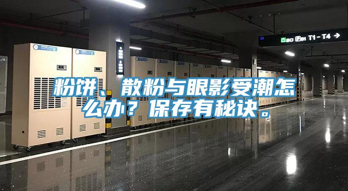 粉餅、散粉與眼影受潮怎么辦？保存有秘訣。