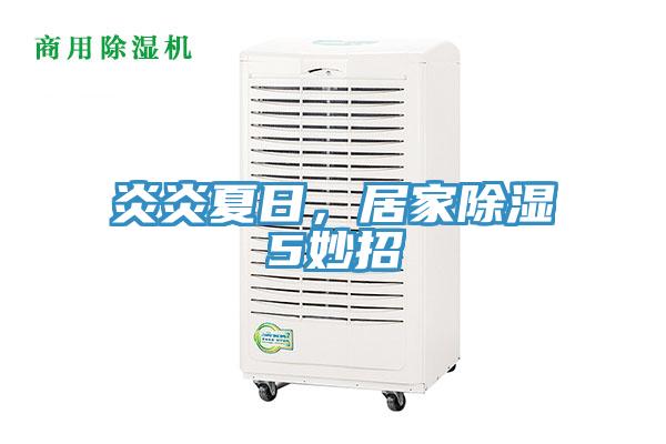 炎炎夏日，居家除濕5妙招