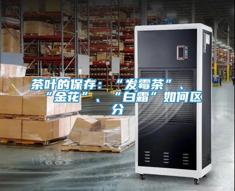 茶葉的保存：“發(fā)霉茶”、“金花”、“白霜”如何區(qū)分