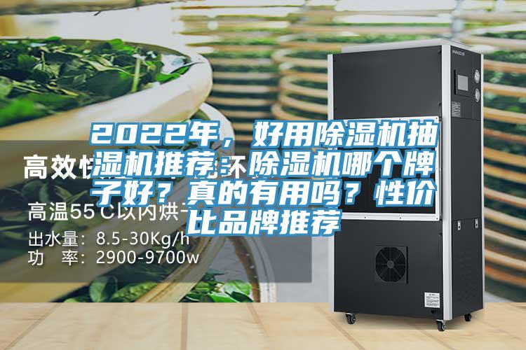 2022年，好用除濕機抽濕機推薦：除濕機哪個牌子好？真的有用嗎？性價比品牌推薦