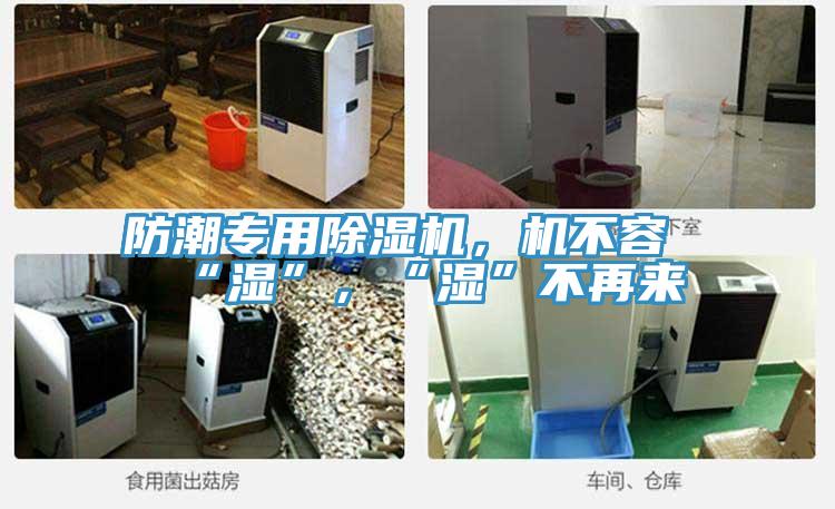 防潮專用除濕機(jī)，機(jī)不容“濕”，“濕”不再來