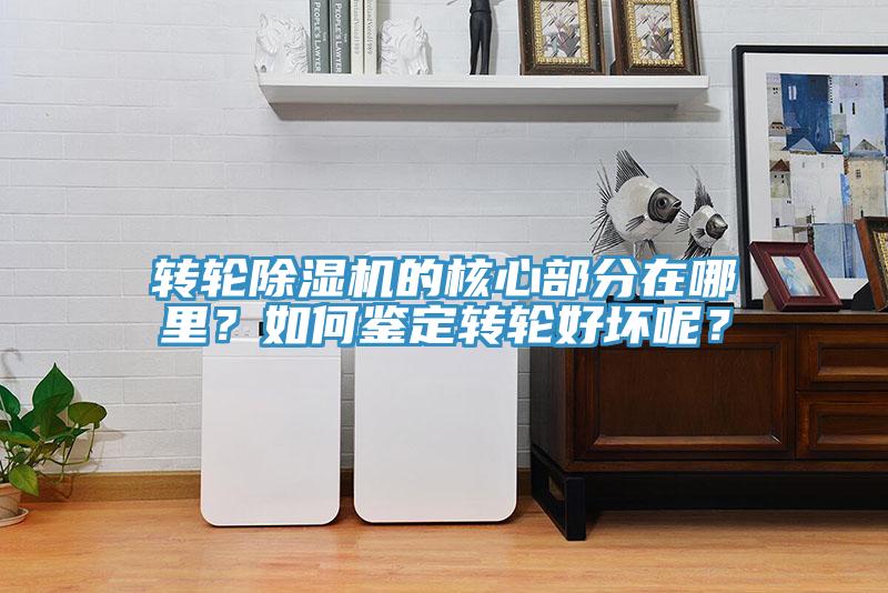轉(zhuǎn)輪除濕機的核心部分在哪里？如何鑒定轉(zhuǎn)輪好壞呢？