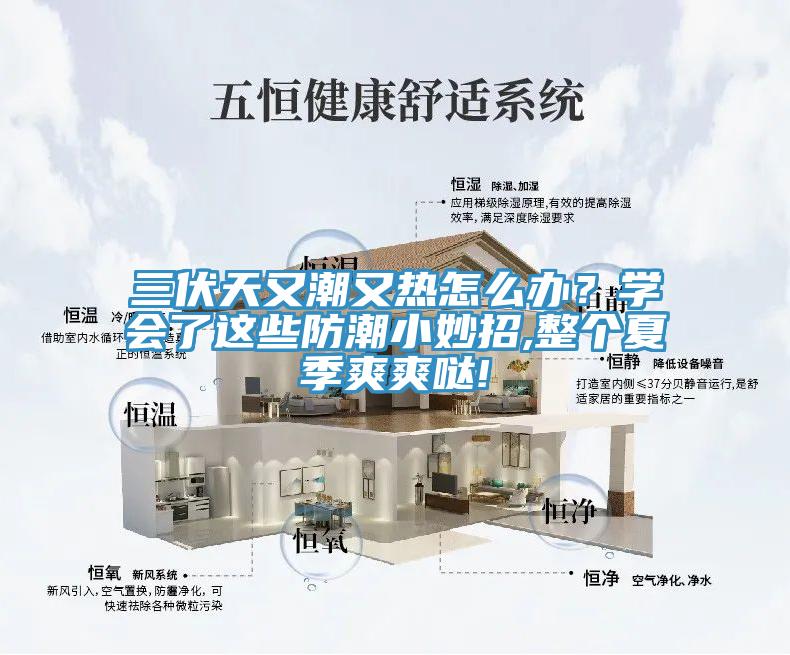 三伏天又潮又熱怎么辦？學會了這些防潮小妙招,整個夏季爽爽噠!