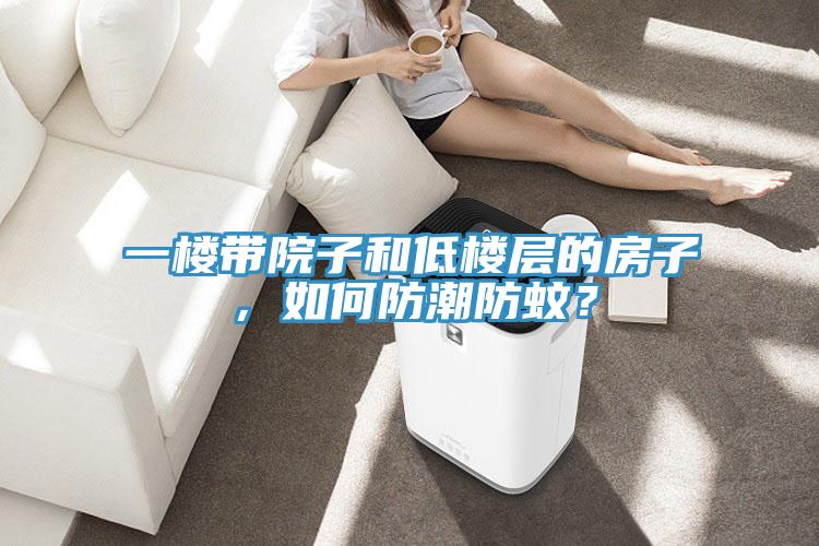 一樓帶院子和低樓層的房子，如何防潮防蚊？