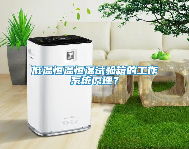 低溫恒溫恒濕試驗箱的工作系統(tǒng)原理？