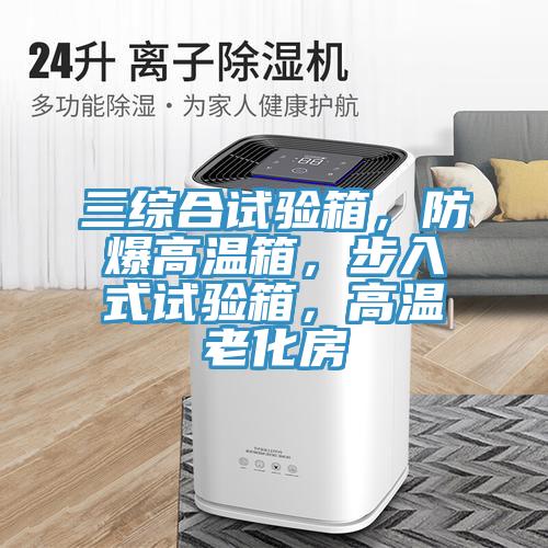 三綜合試驗(yàn)箱，防爆高溫箱，步入式試驗(yàn)箱，高溫老化房