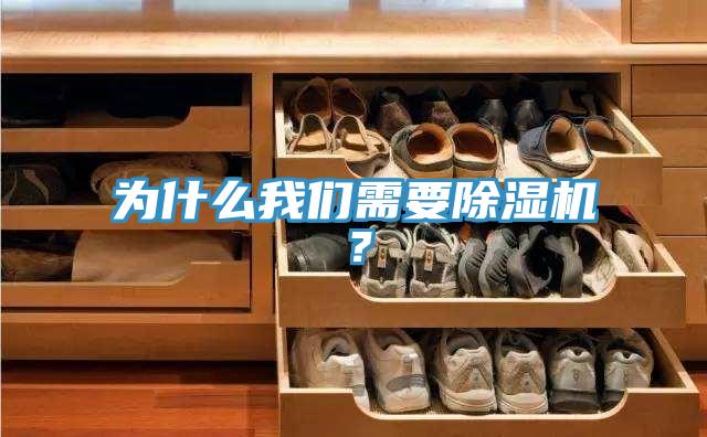 為什么我們需要除濕機？