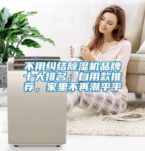不用糾結除濕機品牌十大排名，自用款推薦，家里不再潮乎乎