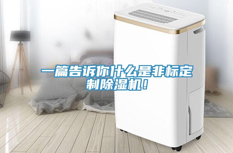 一篇告訴你什么是非標定制除濕機！