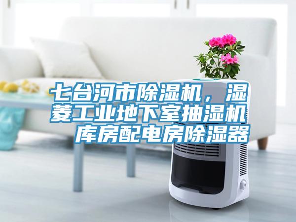 七臺河市除濕機，濕菱工業(yè)地下室抽濕機  庫房配電房除濕器