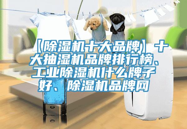 【除濕機(jī)十大品牌】十大抽濕機(jī)品牌排行榜、工業(yè)除濕機(jī)什么牌子好、除濕機(jī)品牌網(wǎng)