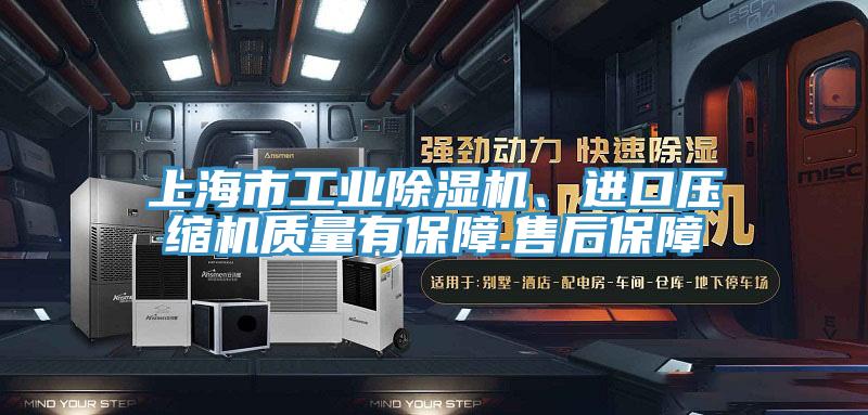 上海市工業(yè)除濕機、進口壓縮機質量有保障.售后保障