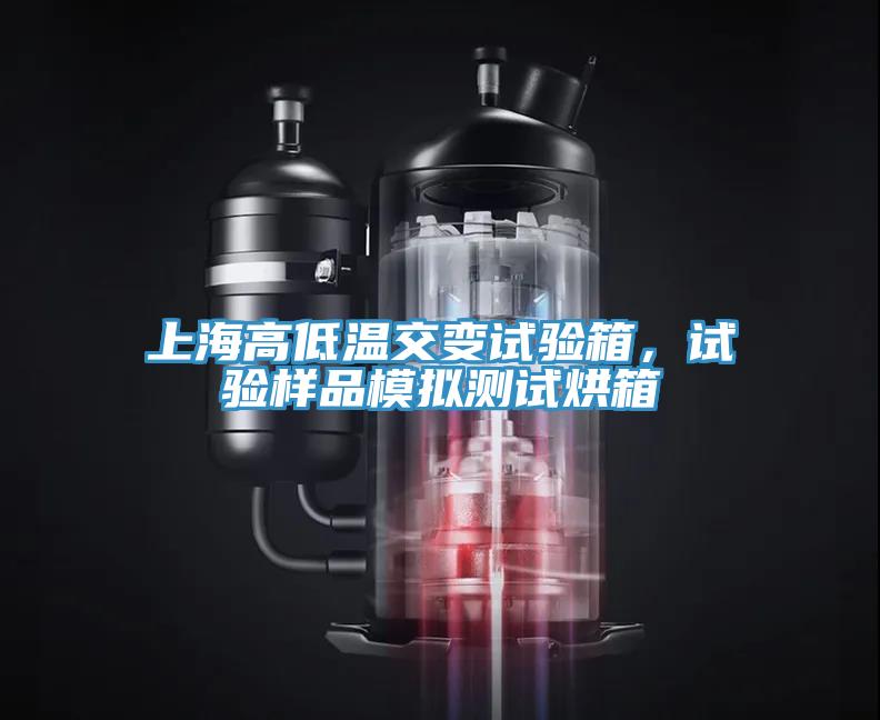 上海高低溫交變試驗(yàn)箱，試驗(yàn)樣品模擬測試烘箱