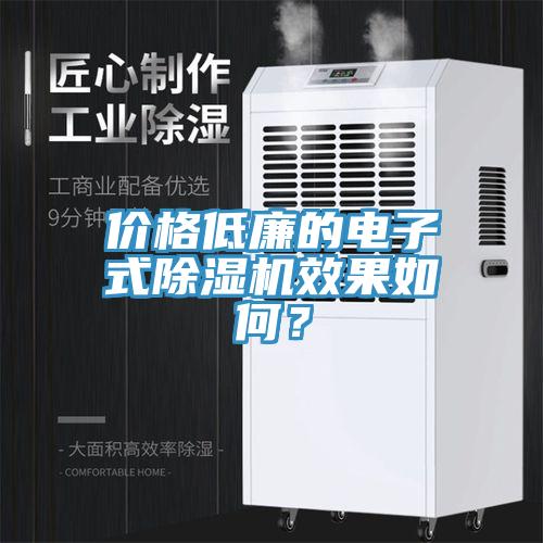 價格低廉的電子式除濕機效果如何？