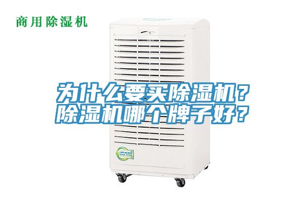 為什么要買除濕機？除濕機哪個牌子好？