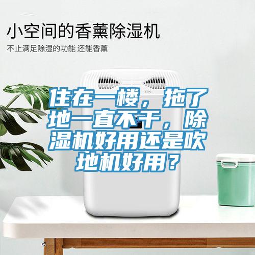 住在一樓，拖了地一直不干，除濕機好用還是吹地機好用？