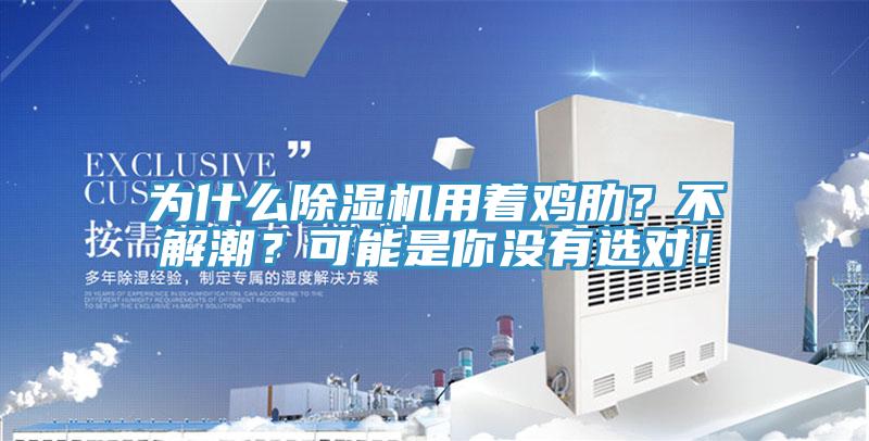 為什么除濕機(jī)用著雞肋？不解潮？可能是你沒(méi)有選對(duì)！