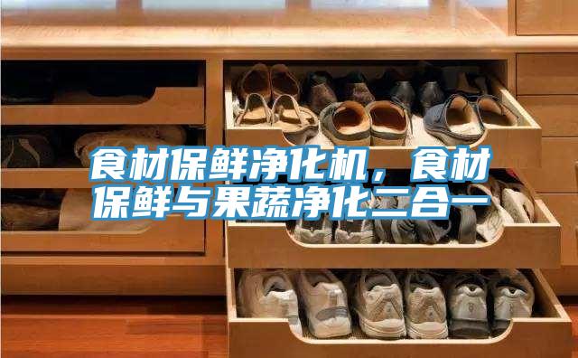 食材保鮮凈化機，食材保鮮與果蔬凈化二合一