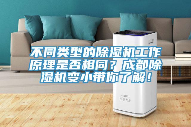 不同類型的除濕機(jī)工作原理是否相同？成都除濕機(jī)變小帶你了解！